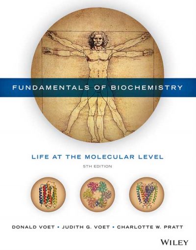 Fundamentals Of Biochemistry, 5th Edition - 9781118918401 - Wiley Direct